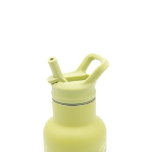 DINOSAUR ανοξείδωτο μπουκάλι με καλαμάκι 500ml