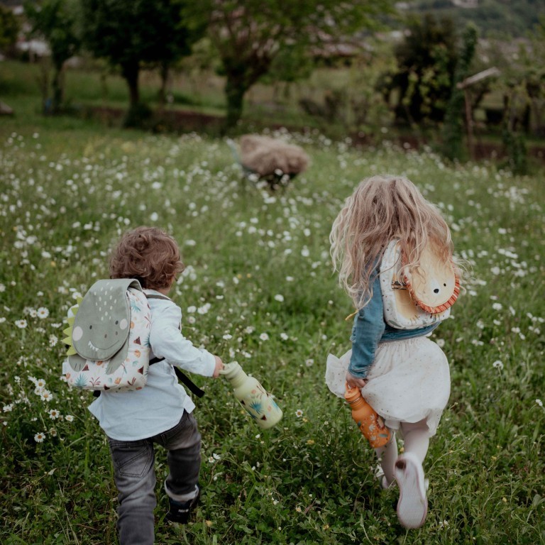 DINOSAUR παιδικό backpack Mini A5 DINOSAUR παιδικό backpack Mini A5