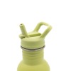 DINOSAUR ανοξείδωτο μπουκάλι με καλαμάκι 500ml - SASSI