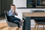 Portable High Chair Booster FOLD & GO - Free on