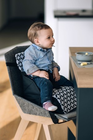 Portable High Chair Booster FOLD & GO - Free on