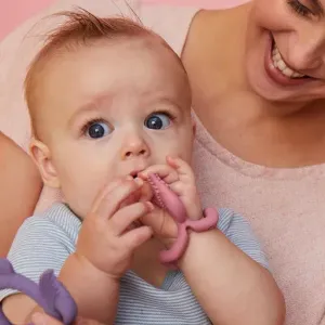 B.BOX WRIST TEETHER FOX PEONY ΒΡΑΧΙΟΛΙ ΟΔΟΝΤΟΦΥΙΑΣ