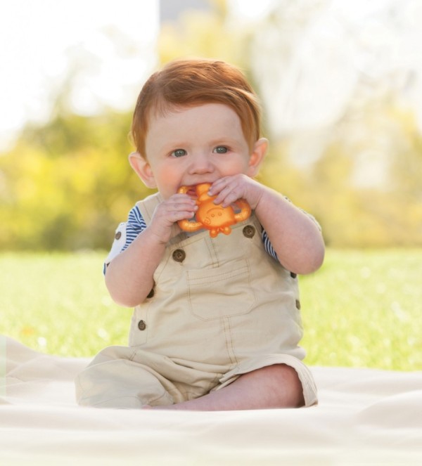 GARDEN TEETHINGS PALS - INFANTINO GARDEN TEETHINGS PALS - INFANTINO