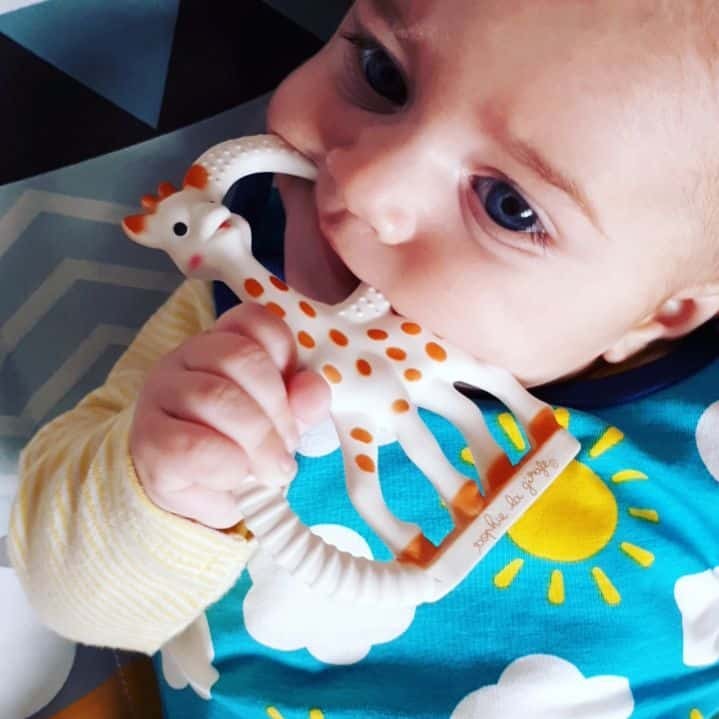 Δακτύλιος Σόφι καμηλοπάρδαλη Soft Δακτύλιος Σόφι καμηλοπάρδαλη Soft