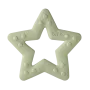 BIBS BITIE STAR SAGE