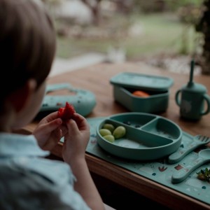 Sassi πιάτο σιλικόνης LFGB με χωρίσματα Baby led weaning  bear