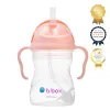 B.BOX SIPPY CUP TUTTI FRUTTI 240ml ΕΚΠΑΙΔΕΥΤΙΚΟ ΚΥΠΕΛΛΟ ΜΕ ΚΑΛΑΜΑΚΙ
