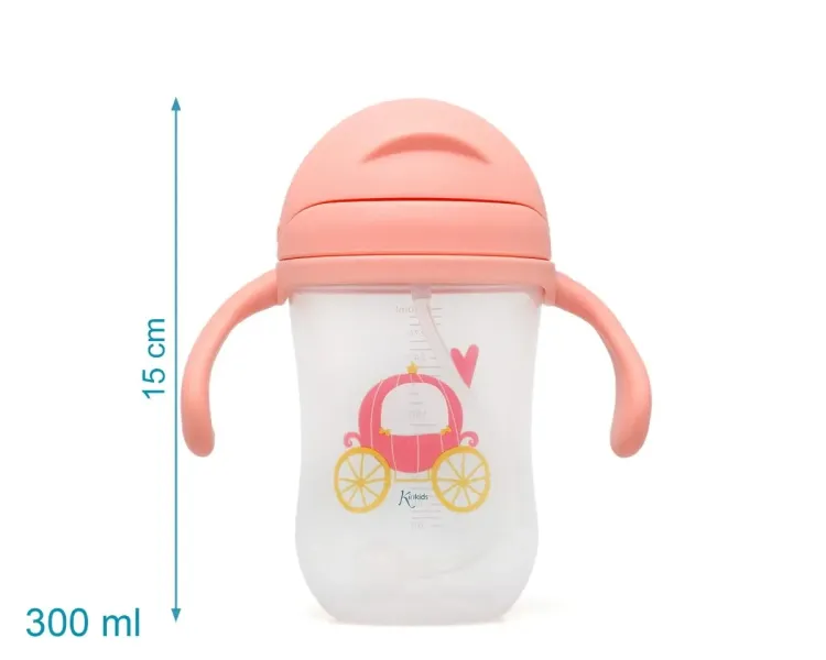 Παγούρι με Λαβές Princess 300ml.6+Μ