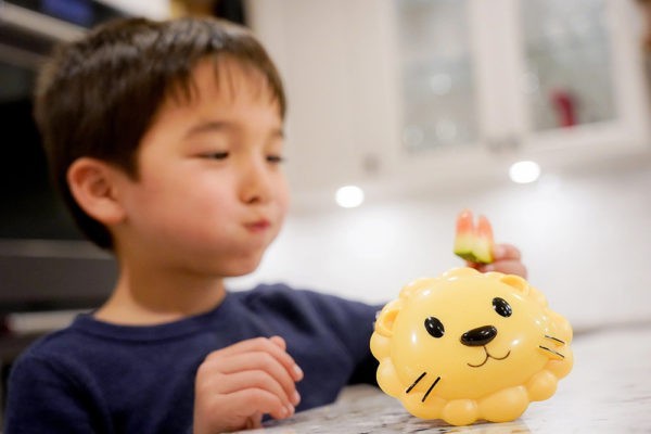 SNACK CONTAINER LION ΔΟΧΕΙΟ ΓΙΑ ΣΝΑΚ 232ml