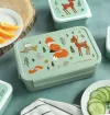 Δοχείο φαγητού Bento με χωρίσματα- 1,2 L- Forest Friends
