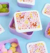 Σετ 4 δοχεία φαγητού Lunch & Snack Box -Flower garden - A Little Lovely Company