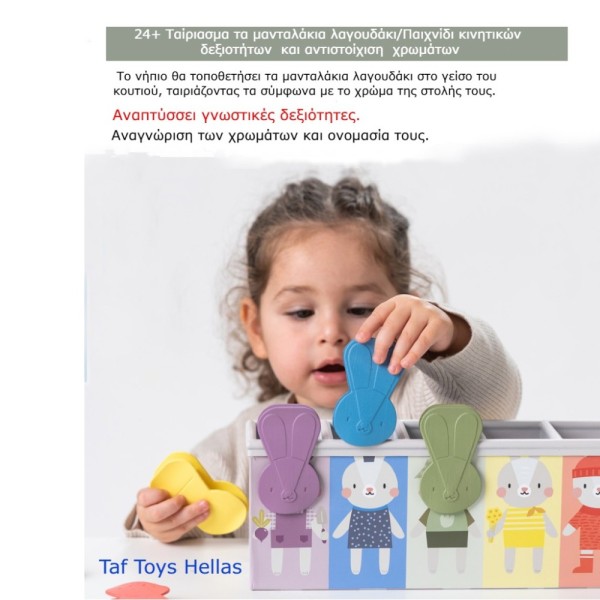 MATCH & COUNT BUNNY TOY ΕΚΠΑΙΔΕΥΤΙΚΟ ΠΑΙΧΝΙΔΙ