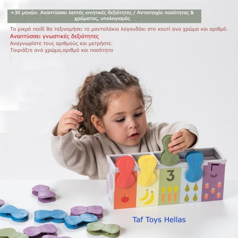 MATCH & COUNT BUNNY TOY ΕΚΠΑΙΔΕΥΤΙΚΟ ΠΑΙΧΝΙΔΙ MATCH & COUNT BUNNY TOY ΕΚΠΑΙΔΕΥΤΙΚΟ ΠΑΙΧΝΙΔΙ