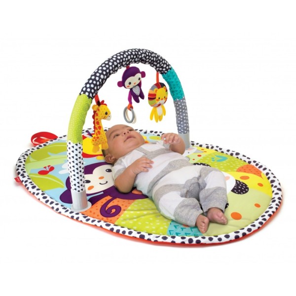 EXPLORE & STORE ACTIVITY GYM (NEUTRAL LION)
