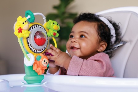 INFANTINO JUNGLE FERRIS WHEEL