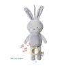 URBAN GARDEN RYLEE MUSICAL BUNNY ΜΟΥΣΙΚΟ ΛΑΓΟΥΔΑΚΙ