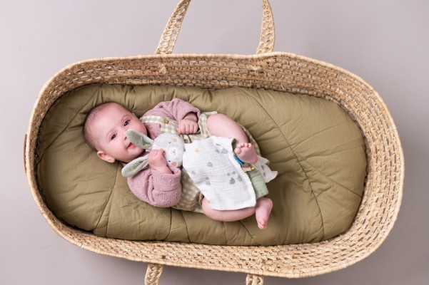 RYLEE BUNNY BLANKIE ΠΑΝΑΚΙ ΠΑΡΗΓΟΡΙΑΣ