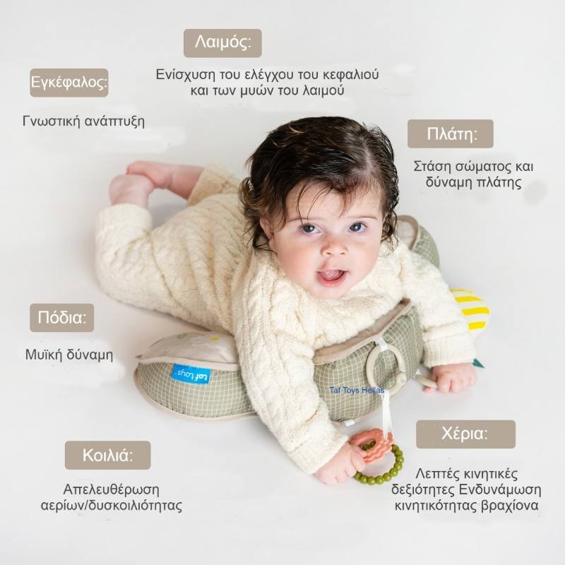 PANDA TUMMY TIME PILLOW