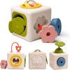 Κύβος σιλικόνης TAF TOYS Peek & Play Cube