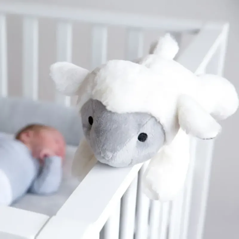 ΠΡΟΒΑΤΑΚΙ ΛΕΥΚΟΥΣ ΗΧΟΥΣ