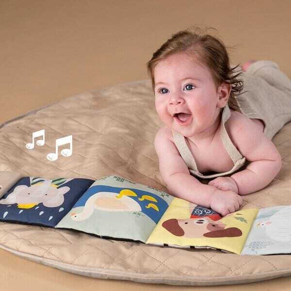 Soothing Sounds Book Soothing Sounds Book