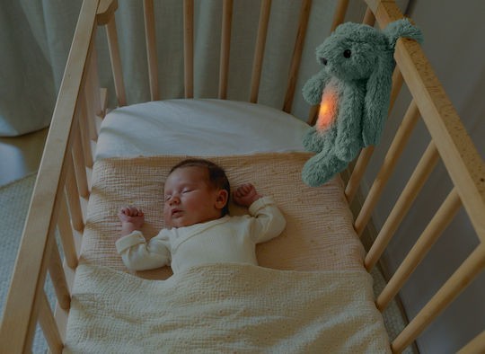 RO ΛΑΓΟΥΔΑΚΙ ΠΡΑΣΙΝΟ ΥΠΝΟΥ ΦΩΣ ΕΠΑΝΑΦ