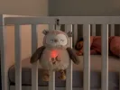 TT OLLIE OWL DELUXE LIGHT & SOUND SLEEP AID ΜΕΓΑΛΗ ΚΟΥΚΟΥΒΑΓΙΑ Υ