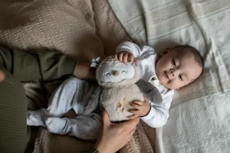 TT OLLIE OWL DELUXE LIGHT & SOUND SLEEP AID ΜΕΓΑΛΗ ΚΟΥΚΟΥΒΑΓΙΑ Υ TT OLLIE OWL DELUXE LIGHT & SOUND SLEEP AID ΜΕΓΑΛΗ ΚΟΥΚΟΥΒΑΓΙΑ Υ
