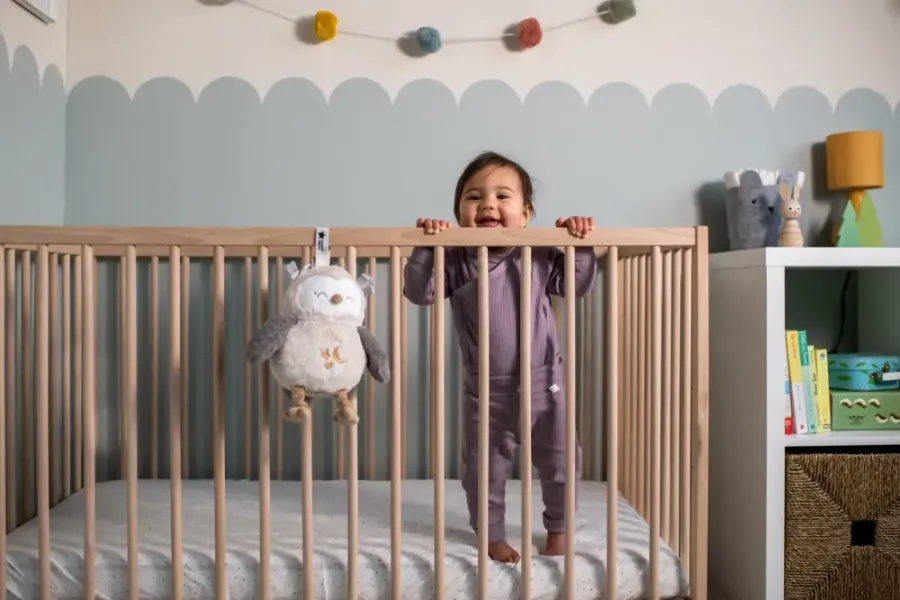 TT OLLIE OWL DELUXE LIGHT & SOUND SLEEP AID ΜΕΓΑΛΗ ΚΟΥΚΟΥΒΑΓΙΑ Υ
