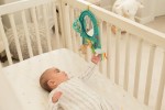 Go Gaga Elephant Activity Mirror - INFANTINO