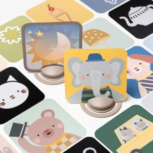 My 1st Discoveries Flash Cards