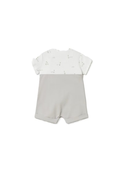 Φορµακι σαλοπετα  ασηµι