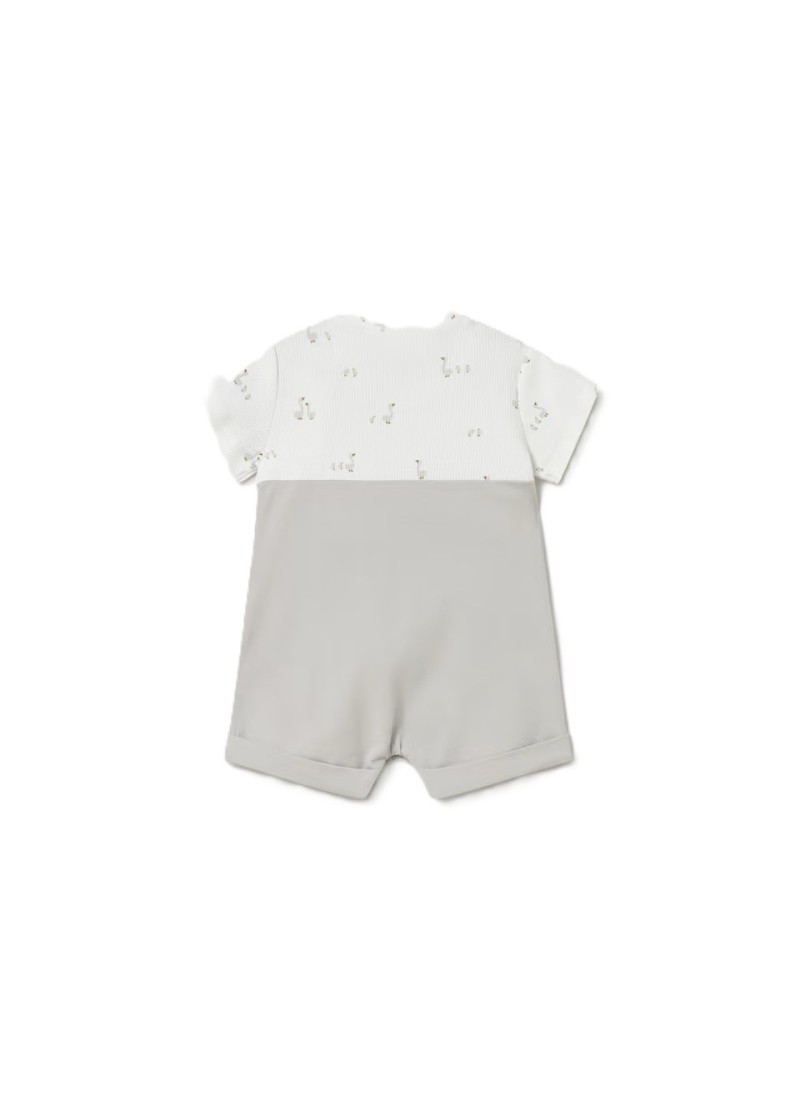 Φορµακι σαλοπετα  ασηµι