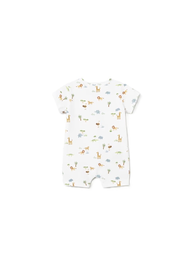 Σετ 2 φορµακια κοντα κιτρινο