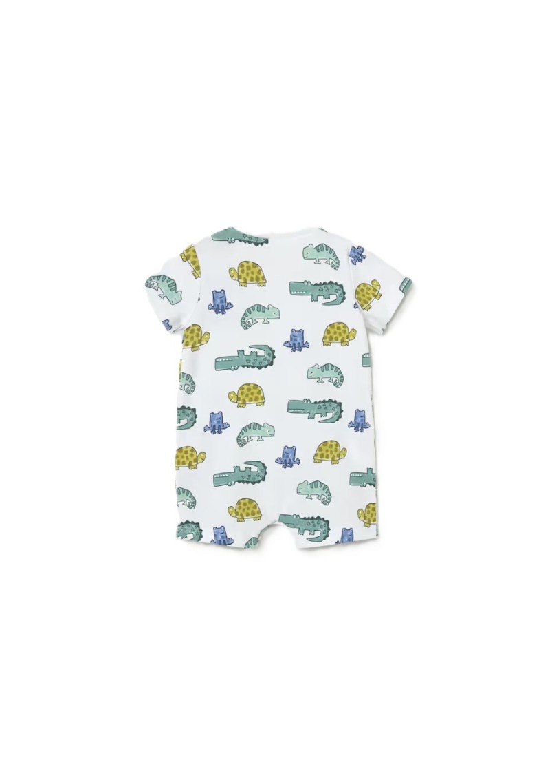 Σετ 3 φορµακια κοντα πρασινο