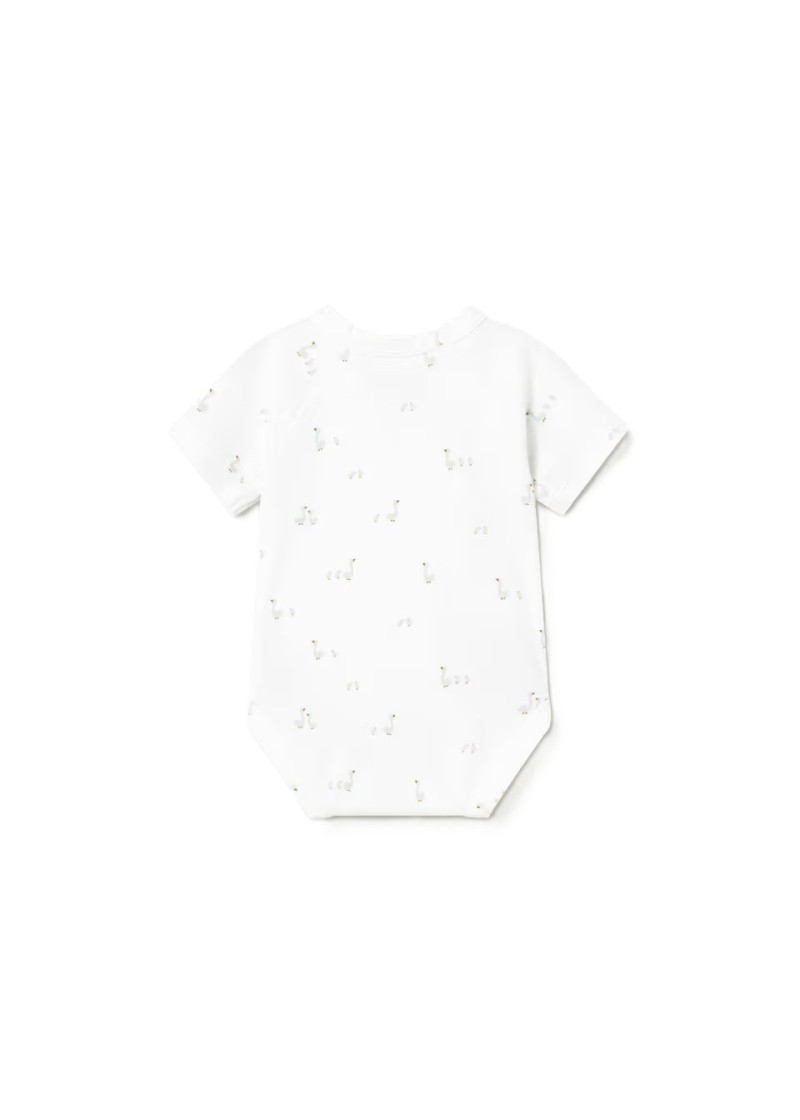 Σετ 2 κορµακια   λευκο