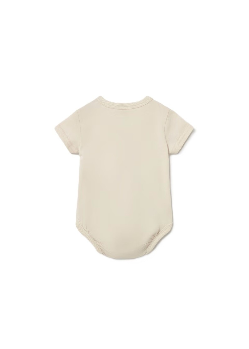 Σετ 2 κορµακια  πορτοκαλί