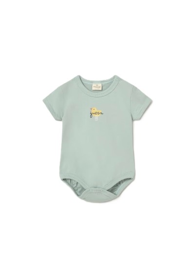 Σετ 2 κορµακια   µεντα