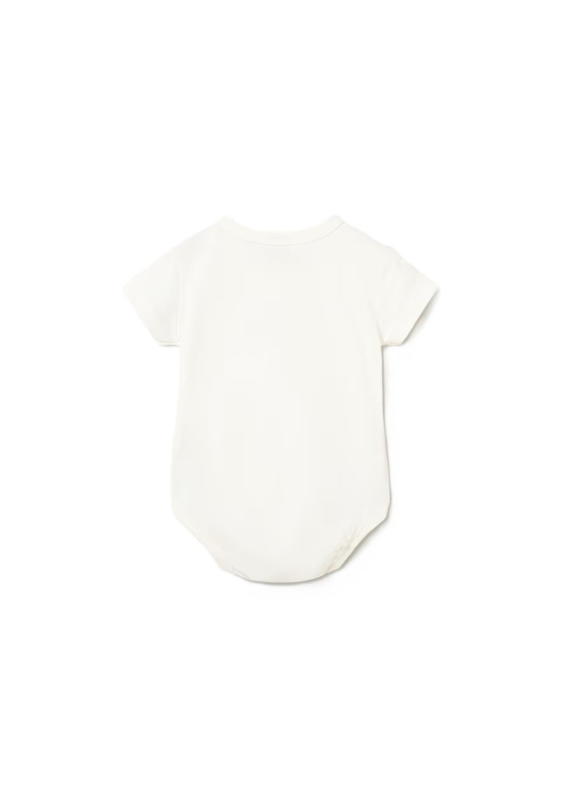 Σετ 2 κορµακια   µεντα