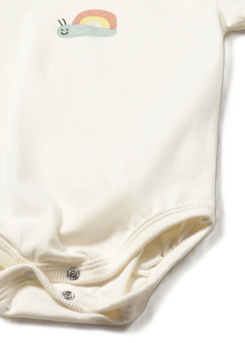 Σετ 2 κορµακια   µεντα