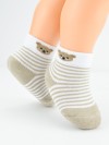 TERRY  SOCKS BEAR  NOVITI